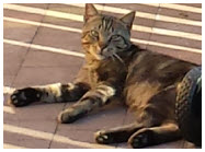 2014-07-03 19.50.20.jpg